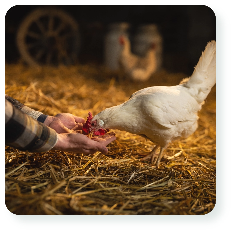 AdobeStock_177960168@2x